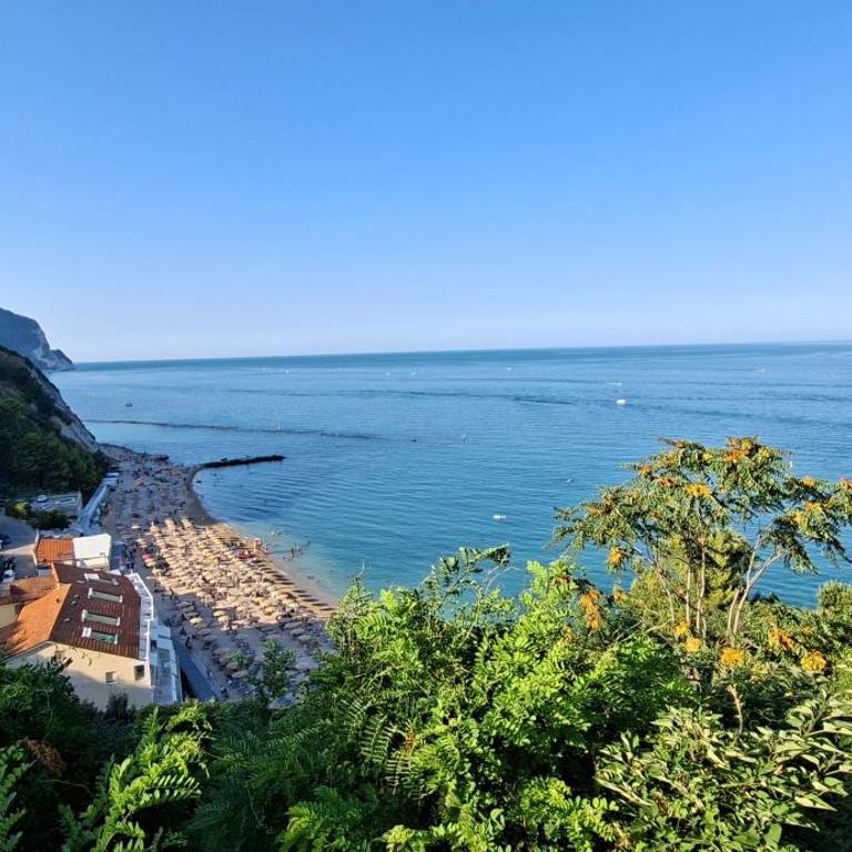 Sirolo vista mare- Garage privato- Centro a 700 m - One-Bedroom Apartment - 28