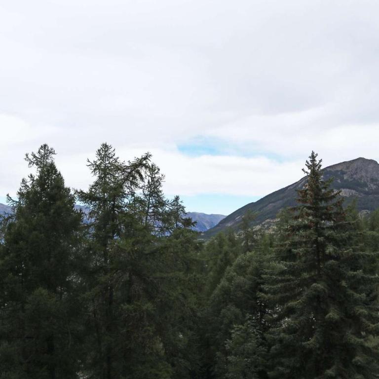 Résidence Le Belvedere - Mini studio 2 personnes situé dans la résidence le belvédère MAE-4054 - Estudio - 7