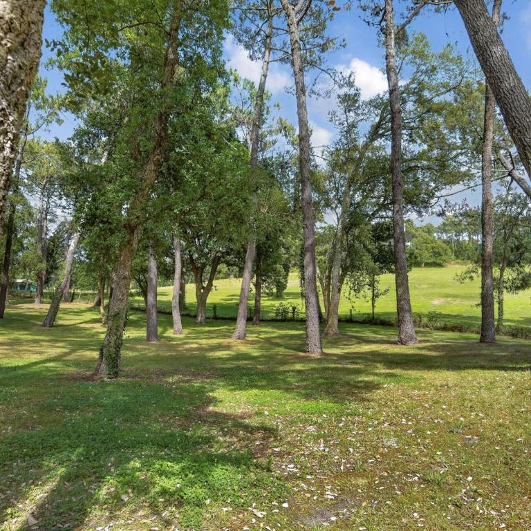 Village Moliets - maeva Home - Maison 2 chambres 6 personnes vue golf MAE-0065 - Appartement - 33