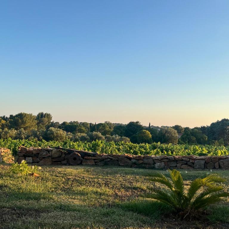 Studio dans les vignes avec accès piscine - Appartement 1 Chambre - 6