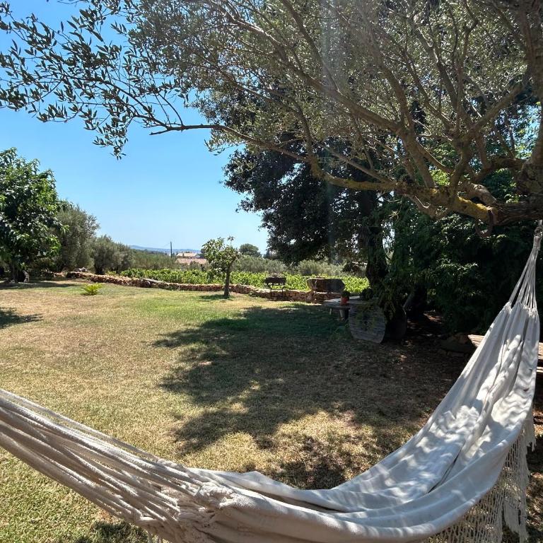 Studio dans les vignes avec accès piscine - Appartement 1 Chambre - 8