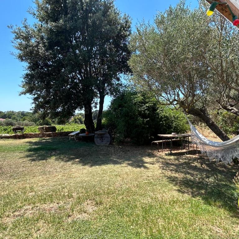 Studio dans les vignes avec accès piscine - Appartement 1 Chambre - 10