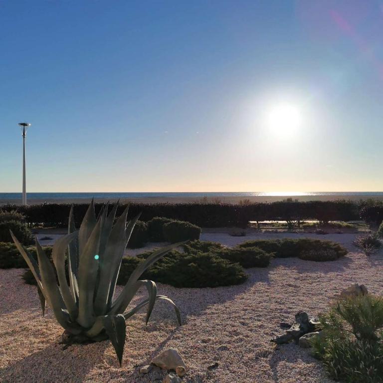 Résidence Grande Bleue - 3 Pièces 6 couchages PORT LEUCATE- Climatisation - WIFI - Réf: 3GB_818 MAE-4704 - Appartement - 32