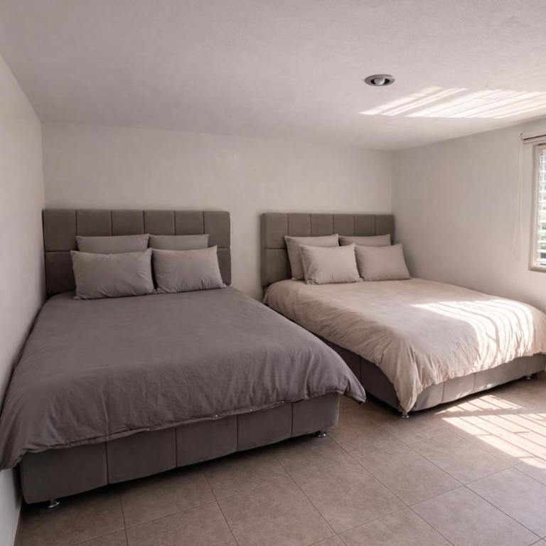 Bowra Milan - Apartamento Deluxe de 2 dormitorios - 5