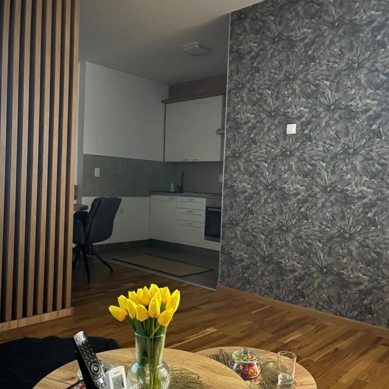 Apartment Paso - Appartement 1 Chambre - 39