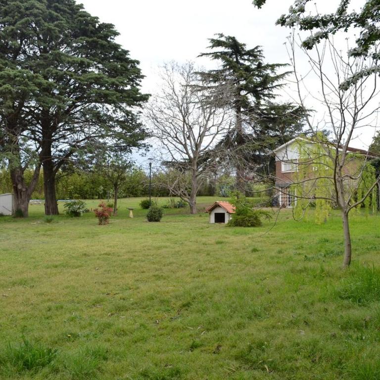 Don Pascual - Casa de 3 dormitorios - 3