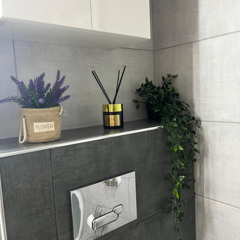 Apartment Paso - Appartement 1 Chambre - 29