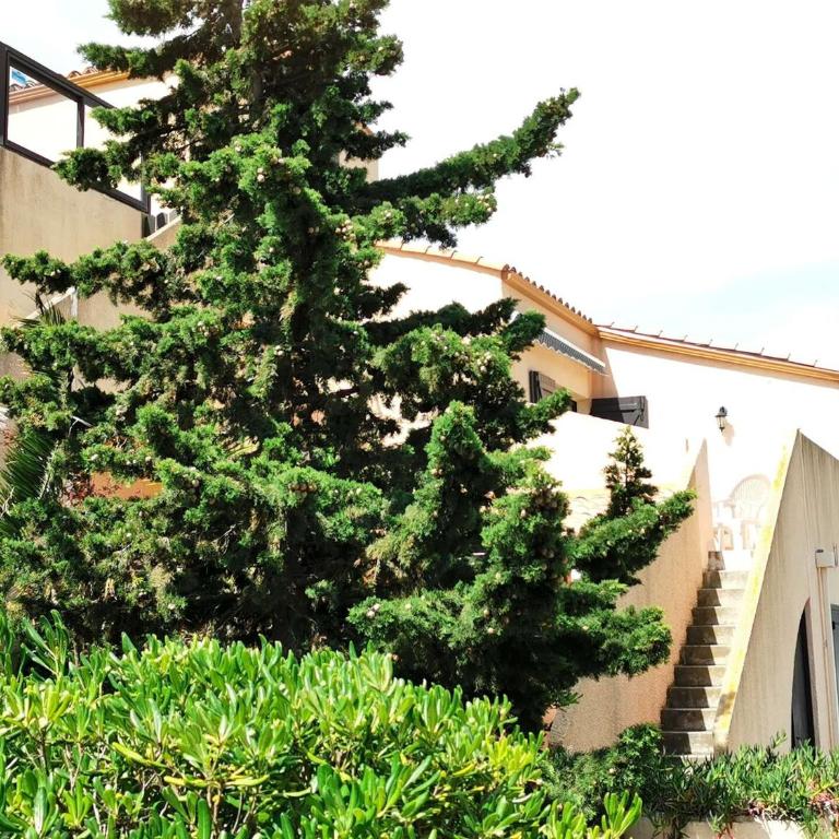 Résidence Equateur - APPT T2 CAB OU MEZZ 6 couchages PORT LEUCATE. Réf: 2MS3_113 MAE-6234 - Apartment - 13
