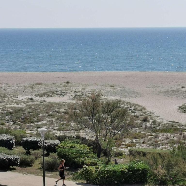 Résidence Les Nefs Des Sables - STUDIO 4 PERSONNES 5 couchages PORT LEUCATE. Réf: 2NEF_31K3 MAE-7434 - Studio - 2