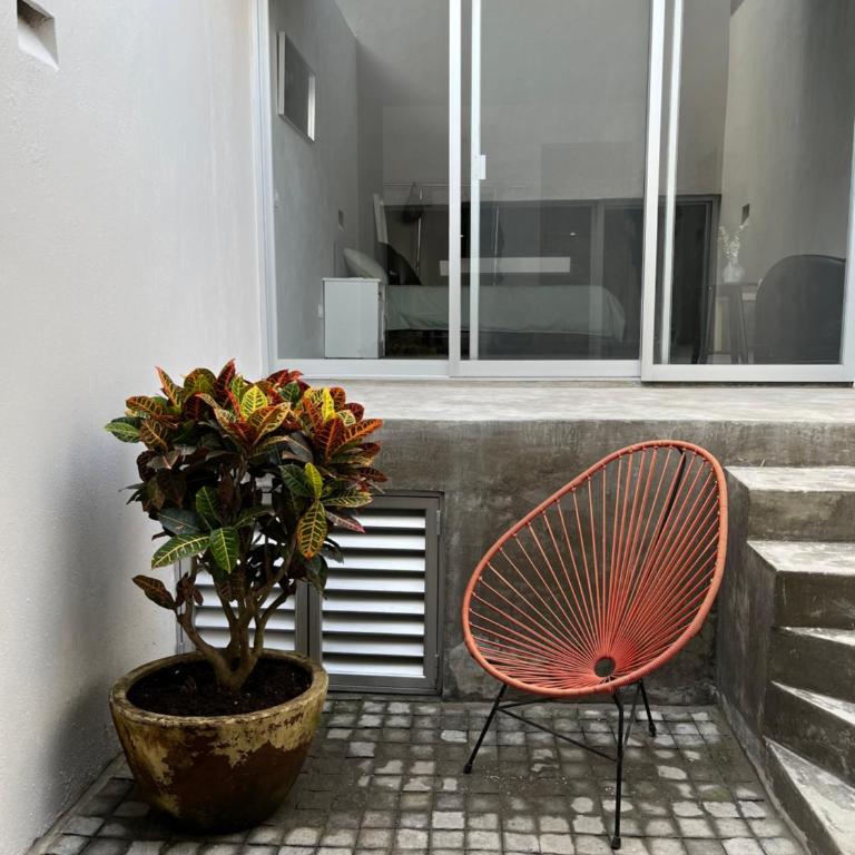 Casa La Paz Lofts & Suites - Apartamento Deluxe - 5