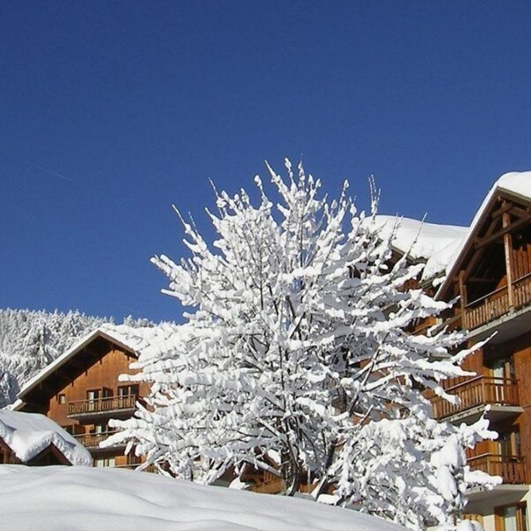 Résidence Parc Aux Etoiles - C402PAE - APPARTEMENT 2 CHAMBRES AVEC BALCON MAE-8754 - Appartamento - 10