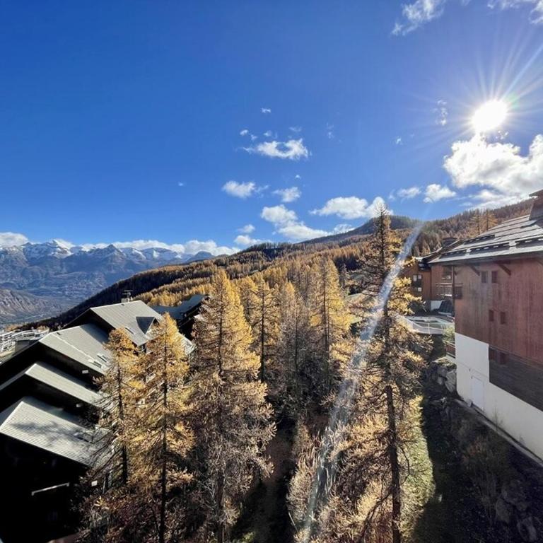 Résidence Hameau Des Ecrins - HEA905 - APPARTEMENT 1 CHAMBRE MAE-7014 - Appartamento - 11