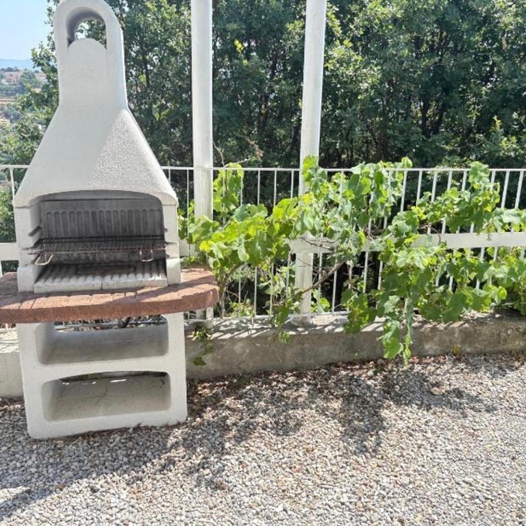 Villa Carthage Superbe jardin piscine et parking gratuit - Villa - 4