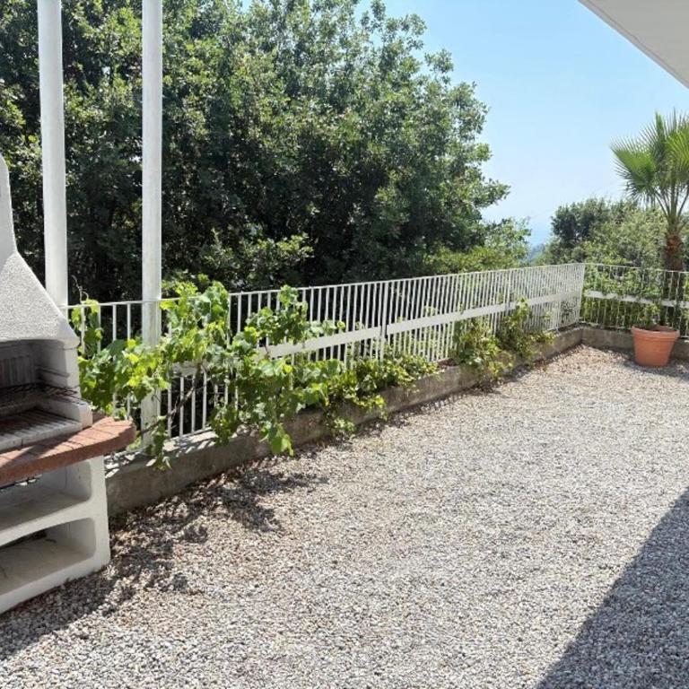 Villa Carthage Superbe jardin piscine et parking gratuit - Villa - 12