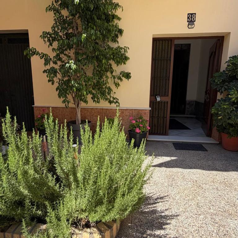 Aires de Doñana Atico - Appartement 3 Chambres avec Balcon - 29