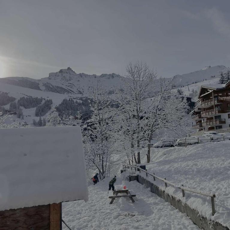 Résidence Le Valmorel - Le Valmorel -Chalet individuel, cadre reposant avec une magnifique vue MAE-4684 - Appartement - 7