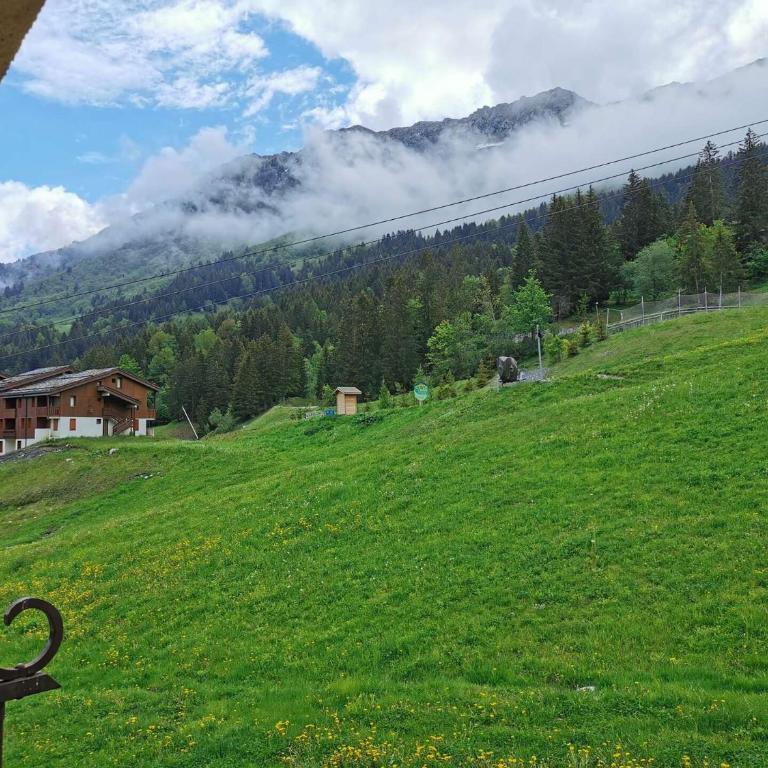 Résidence Lauzes - Les Lauzes 48 - Joli 2 pièces, vue pistes, classé 3 étoiles MAE-4944 - Appartement - 9