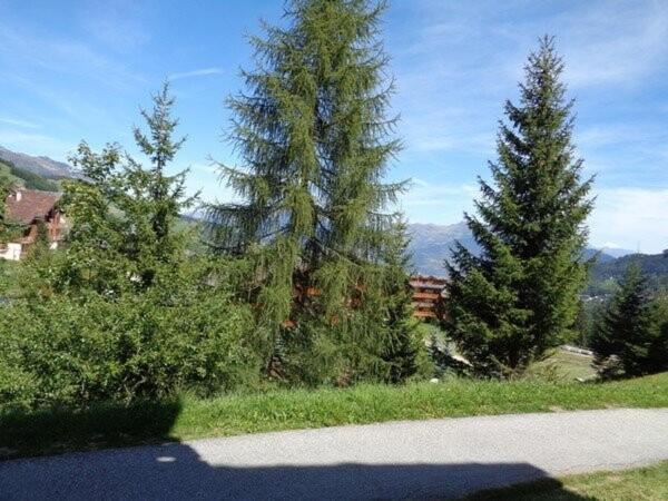 Résidence Teppes - Les Teppes 38 - 2 pièces, terrasse offrant une superbe vue MAE-4834 - Appartement - 17