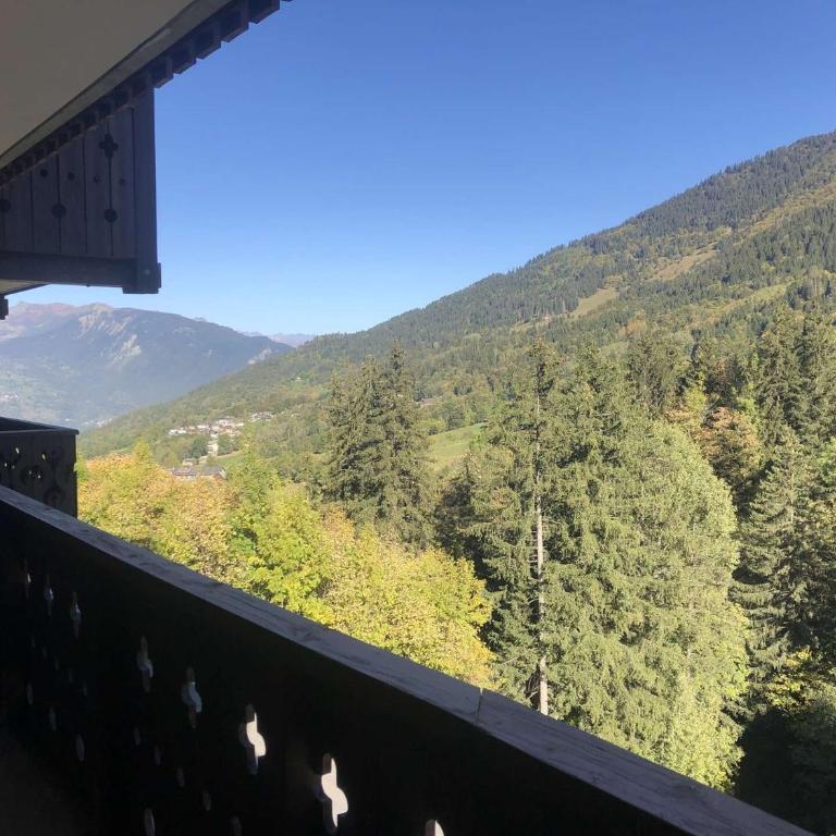 Résidence Valeriane - La Valériane 213 - 3 pièces avec vue magnifique sur les montagnes MAE-5424 - Appartement - 15