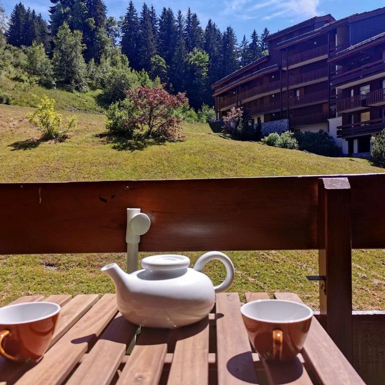 Résidence Cheval Blanc - Le Cheval Blanc D15 - Joli 2 pièces, balcon plein sud coté pistes MAE-4924 - Appartement - 9