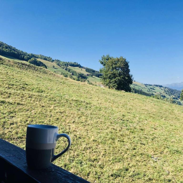 Résidence Camarine - La Camarine 19 - Joli 2 pièces avec mezzanine MAE-4614 - Appartement - 22
