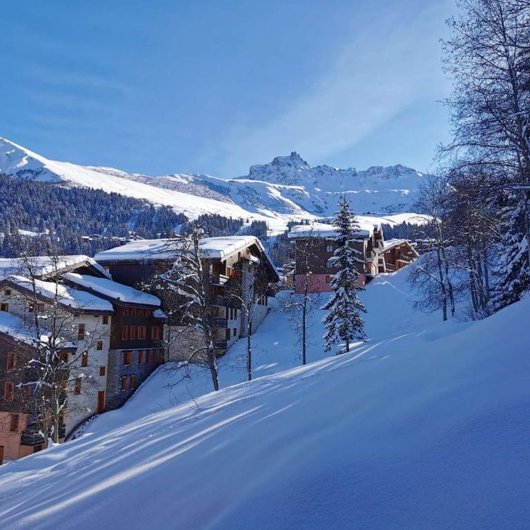 Résidence Camarine - La Camarine 55 - Joli studio divisible, ski aux pieds MAE-3611 - Studio - 9
