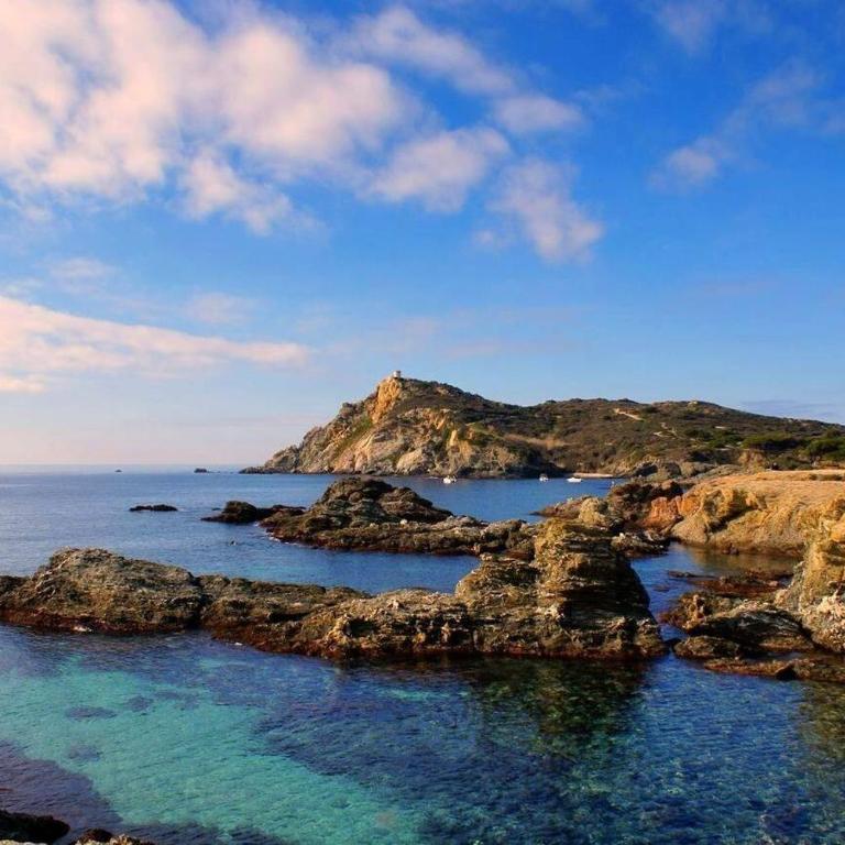 Résidence Alisier - T3 dans le domaine de la Coudoulière proche de la mer MAE-8961 - Appartement - 12