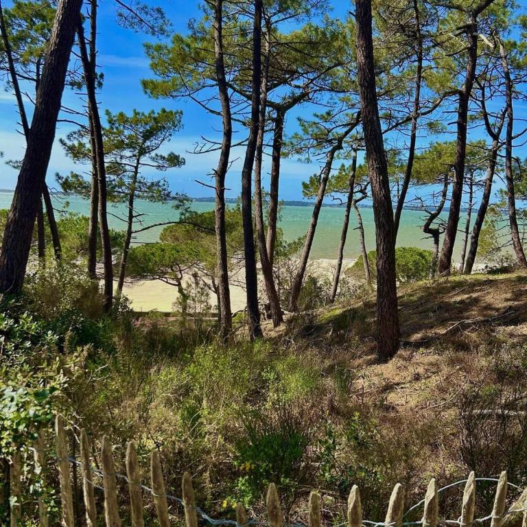Résidence Le Parc - Appartement 2 chambres à 300m de la plage – Pereire MAE-9444 - Appartement - 16