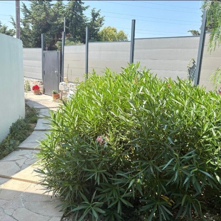 Villa Carthage piscine parking gratuit - Villa - 16