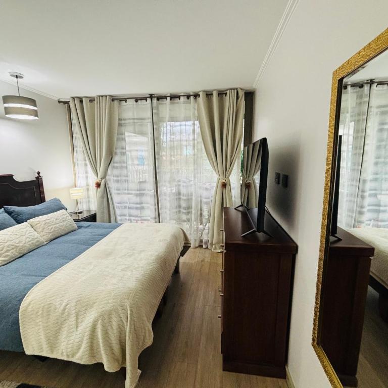 Ven a descansar a Pucon Chile - Apartamento de 1 dormitorio - 5