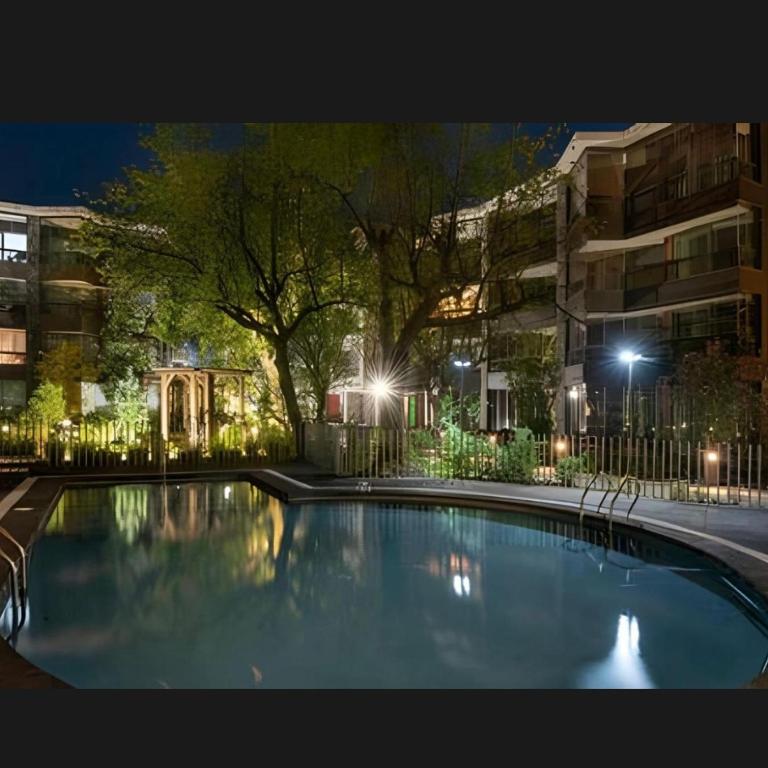 Ven a descansar a Pucon Chile - Apartamento de 1 dormitorio - 17