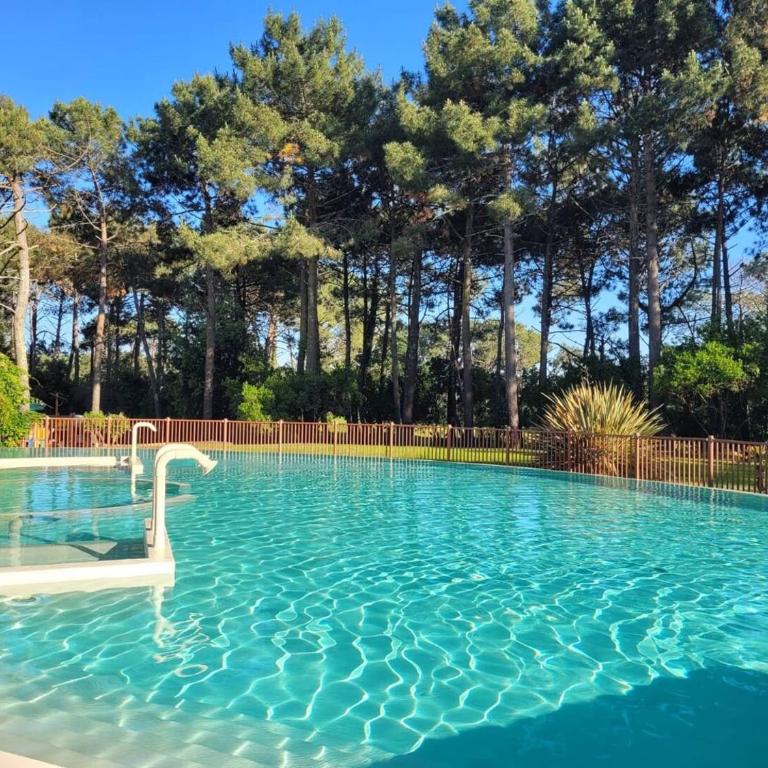 Résidence Lacanau Les Pins - Appartement 4 pers. – Résidence de tourisme avec piscine – Lacanau Océan MAE-0721 - Appartement - 1