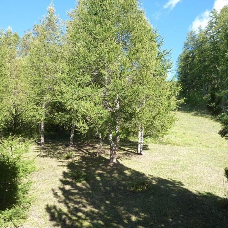 Résidence L'eperviere - Grand studio 4 personnes MAE-0904 - Studio - 9