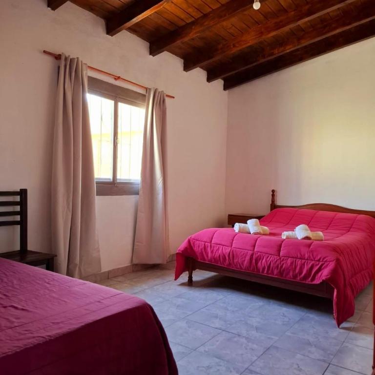 Entre Cerros Apart Cafayate - Casa de 2 dormitorios - 24