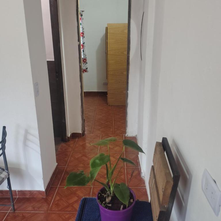 Tulum Hotel - Apartamento de 1 dormitorio - 13