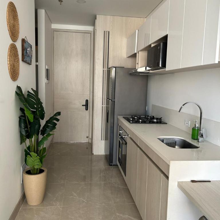 Azul Sierra - Apartamento de 1 dormitorio - 16