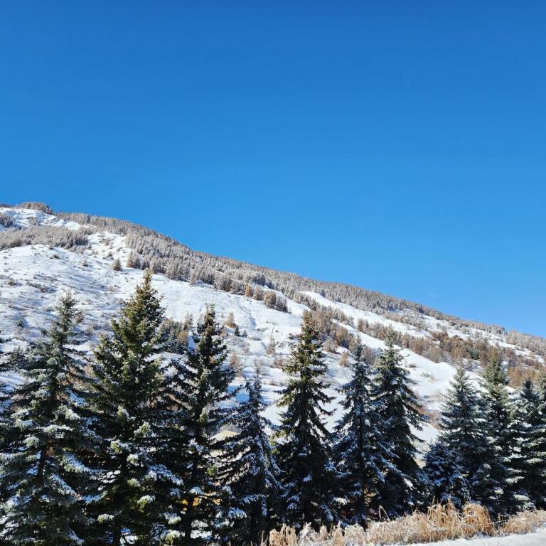 Résidence L'Hostellerie - maeva Home - Studio + coin cabine vue montagne 6 personnes - Budget MAE-2763 - Studio - 16