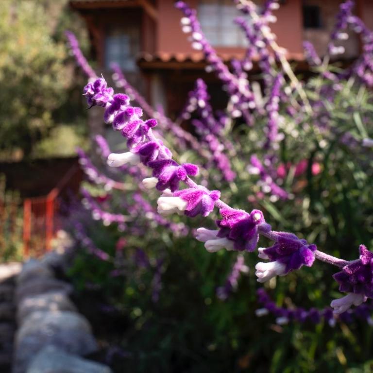 VILLA APU CHICON (Apu Wasi & Inti Wasi) - Two-Bedroom Villa - 19