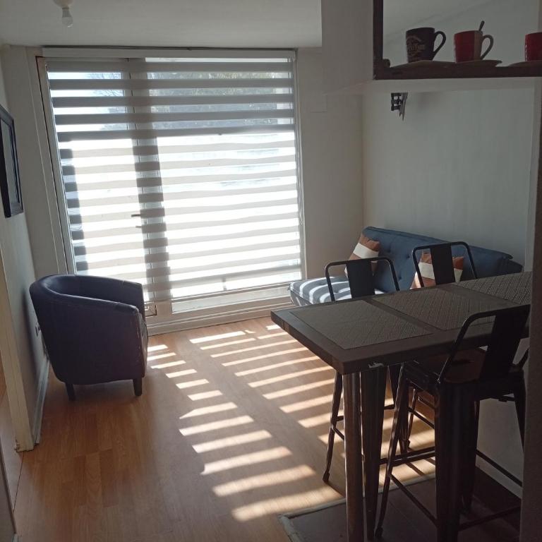 Vista Laguna a pasos Universidad San Sebastián - Apartamento de 1 dormitorio - 5