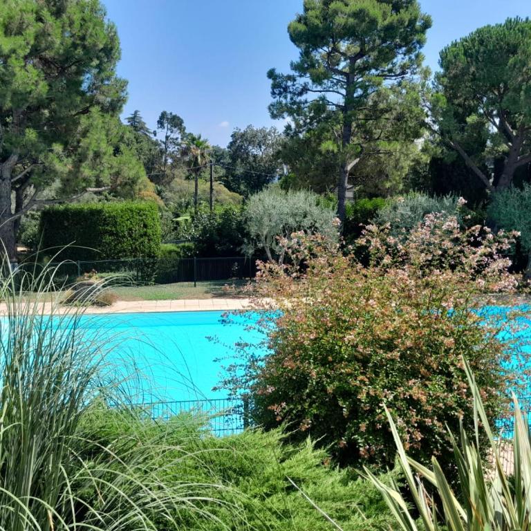 California Park - Appartement 1 Chambre - 2