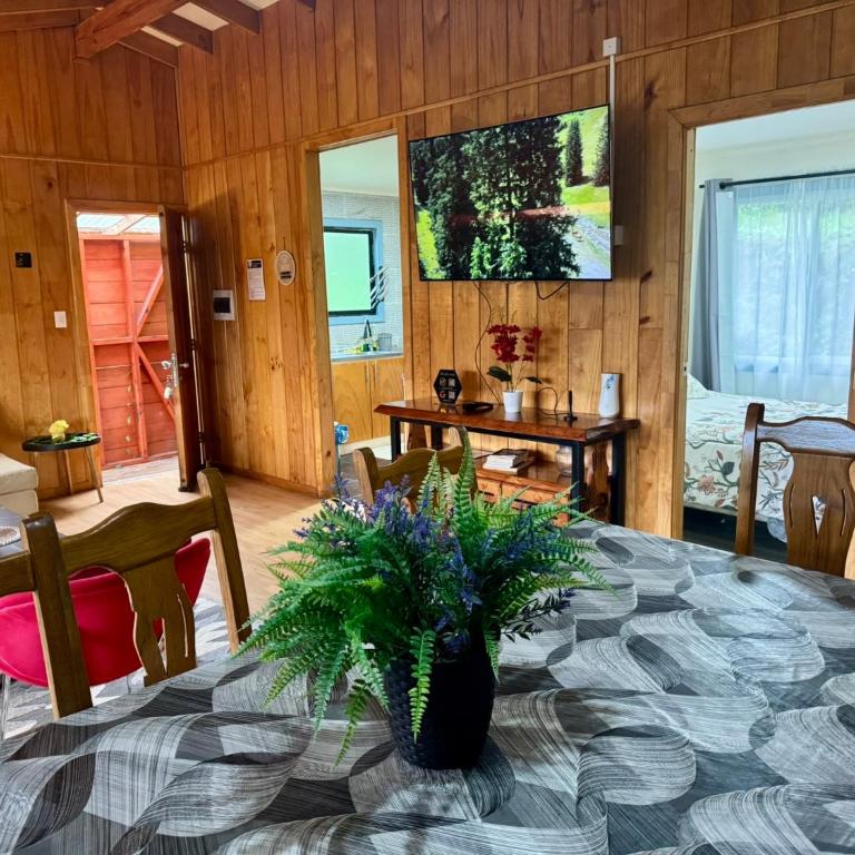 Cabañas Cutipay N2 - Casa de 3 dormitorios - 11