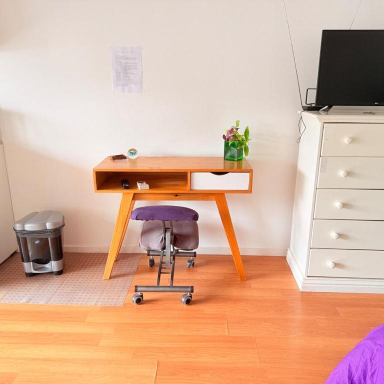 Tranquilo estudio, departamento monoambiente en Chacarita - Apartamento de 1 dormitorio - 17
