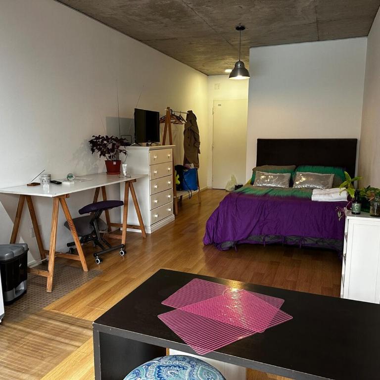 Tranquilo estudio, departamento monoambiente en Chacarita - Apartamento de 1 dormitorio - 32