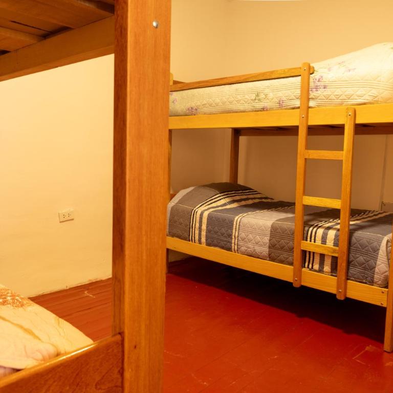 Julian's Garden - Bed in 6-Bed Mixed Dormitory Room - 2