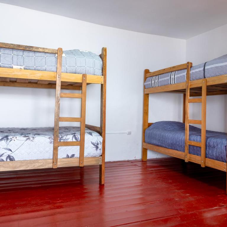 Julian's Garden - Bed in 4-Bed Mixed Dormitory Room - 2