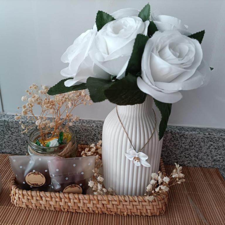 Depto equipado cerca de Santiago Centro Parking gratis - Apartamento de 2 dormitorios - 21