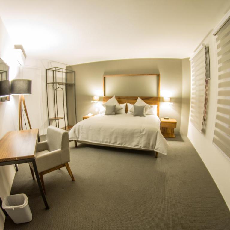 Hotel Boutique Abad - Habitación Estándar - 1 cama grande - 4