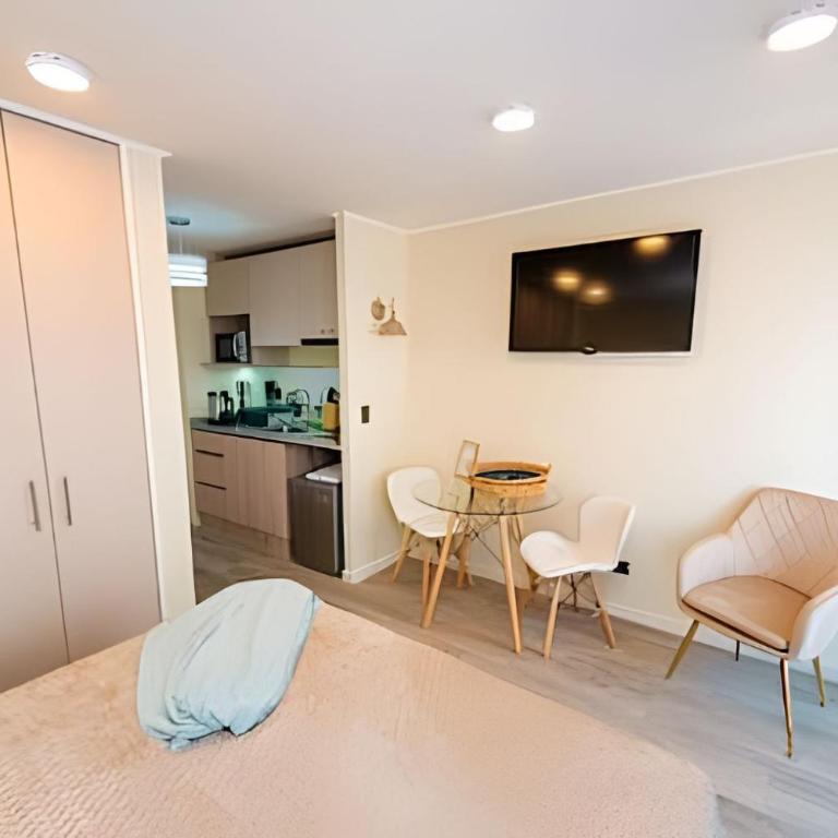 AR Domeyko - Parque O'higgins - Apartamento Estudio - 7