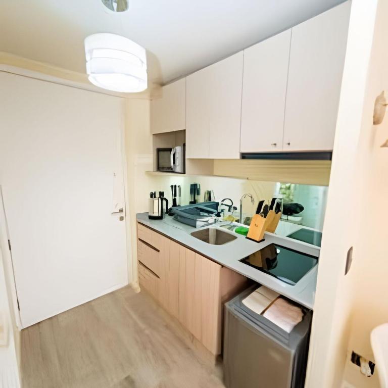 AR Domeyko - Parque O'higgins - Apartamento Estudio - 15