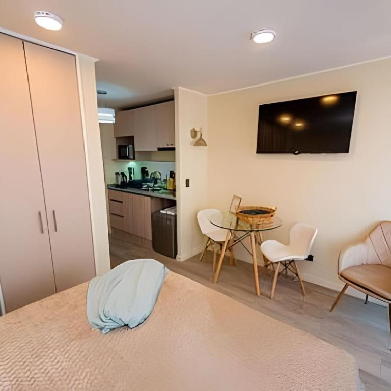 AR Domeyko - Parque O'higgins - Apartamento Estudio - 28